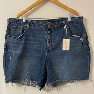Plus size jean shorts